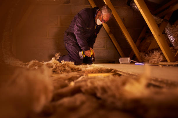 Best Insulation Maintenance and Repair in Etowah, NC