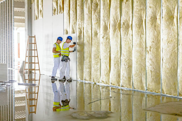 Best Commercial Insulation in Etowah, NC